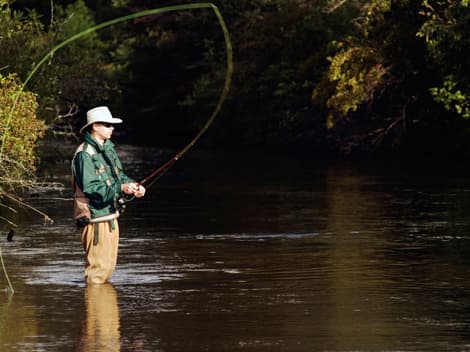 fly fishing -attraction near highlands motor inn - oberon - nsw