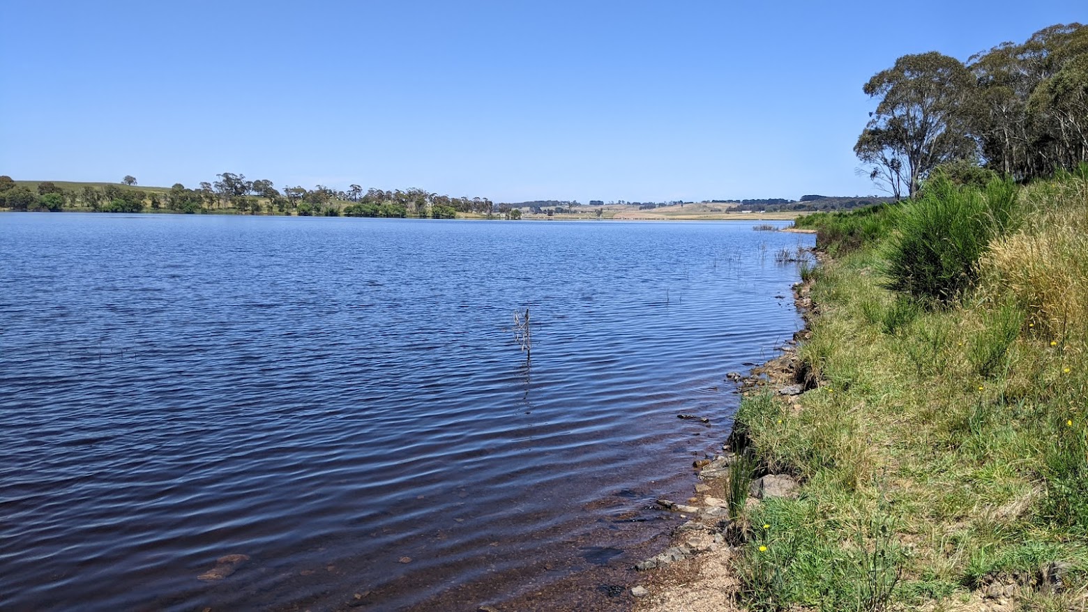 lake oberon