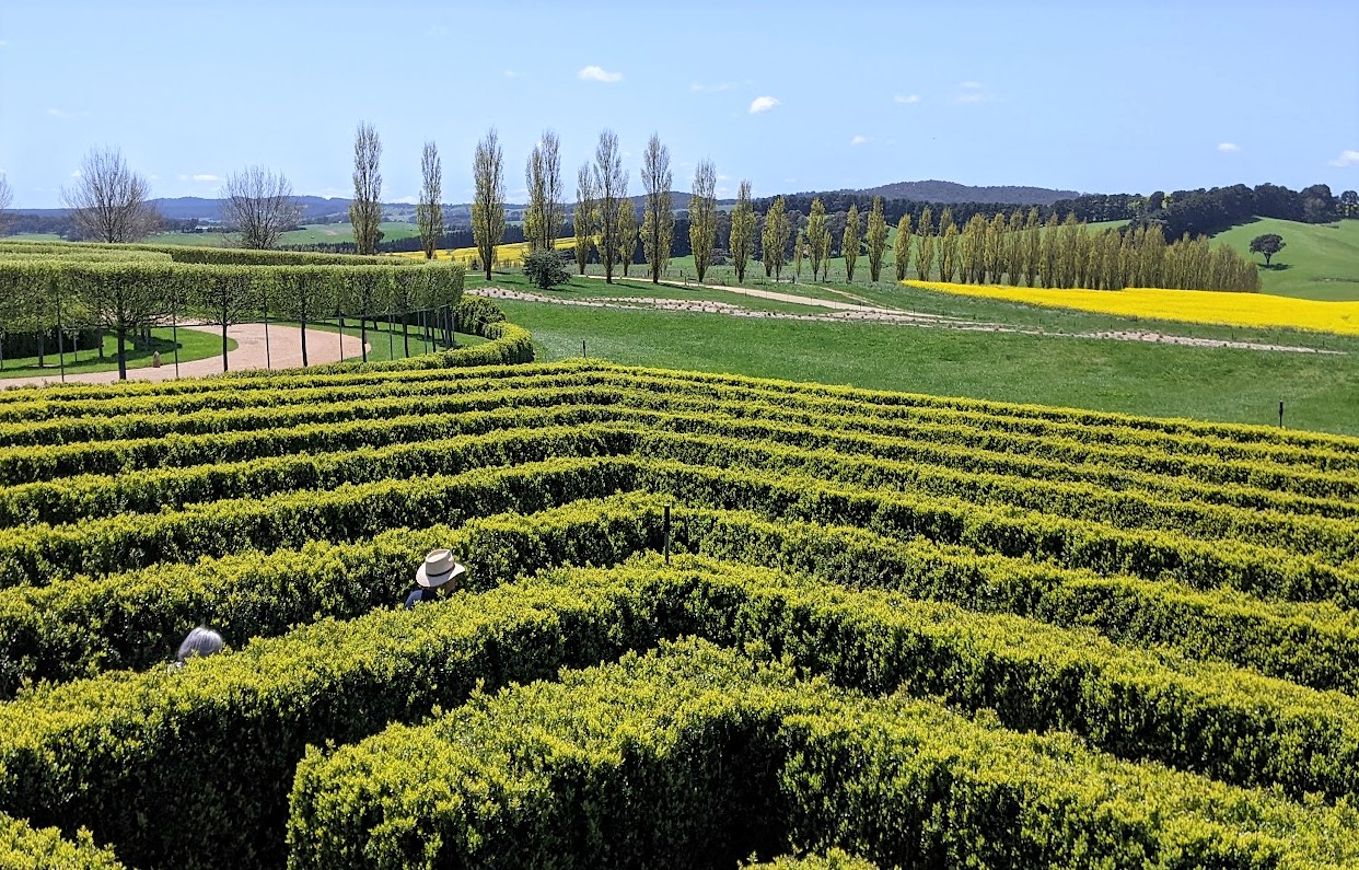 mayfield maze