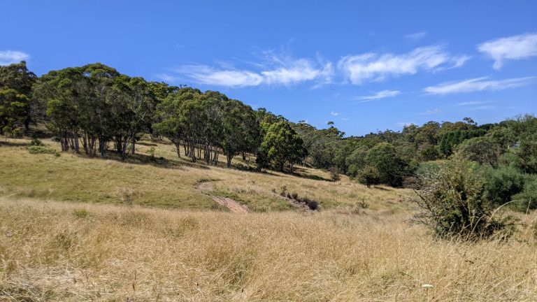 Oberon State Forest