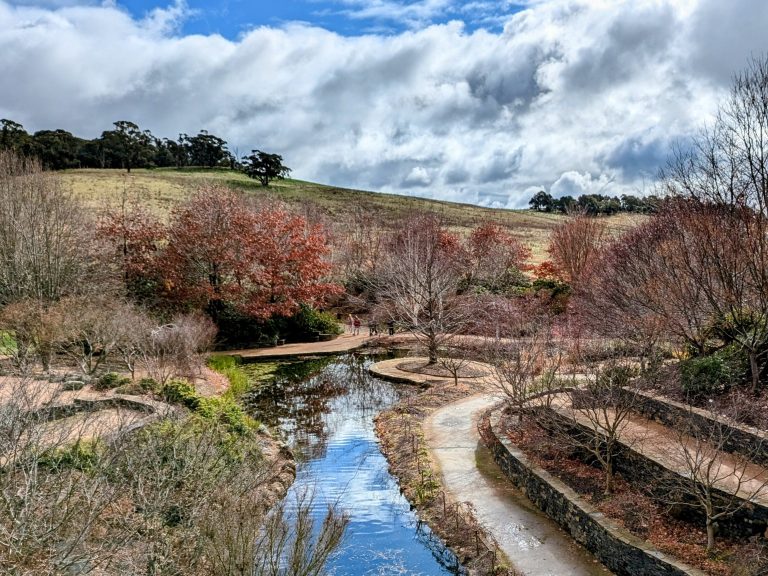 Winter at Mayfield Garden