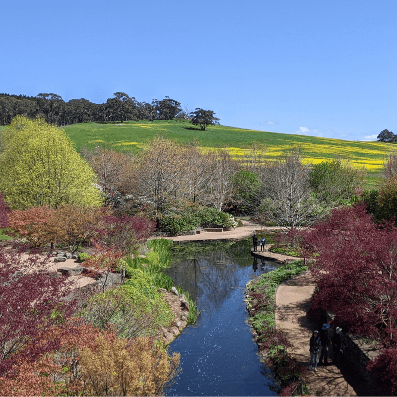 Discover the Beauty of Mayfield Garden - Highlands Motor Inn